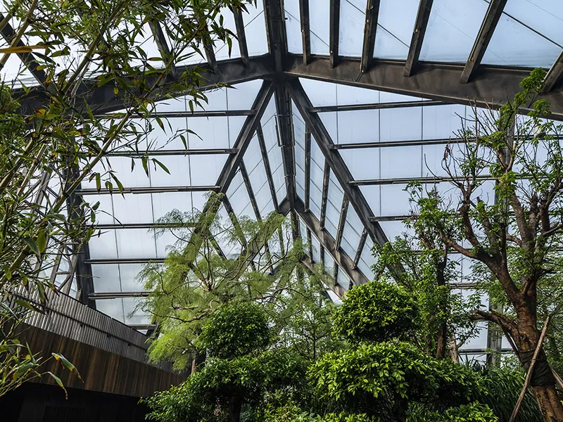 Por que usar o edifício da estrutura de aço?